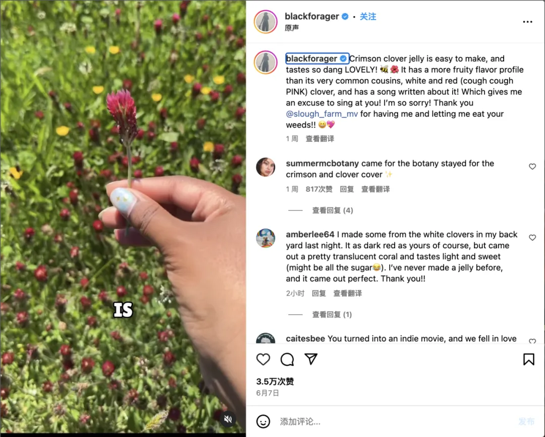 毒舌探店、重口猎奇！能快速拉升品牌声量的三位关键红人