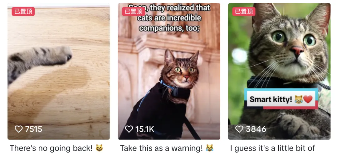 好利来进军宠物市场?“它经济”风潮下,品牌应该选择哪些红人?