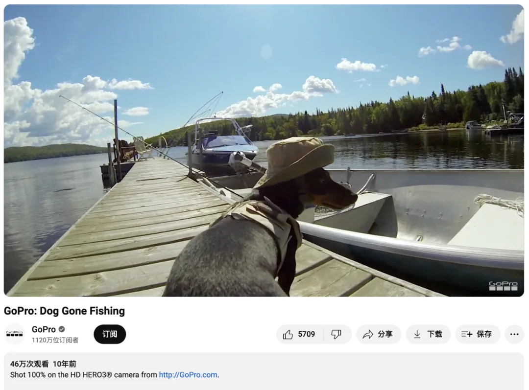 好利来进军宠物市场?“它经济”风潮下,品牌应该选择哪些红人?