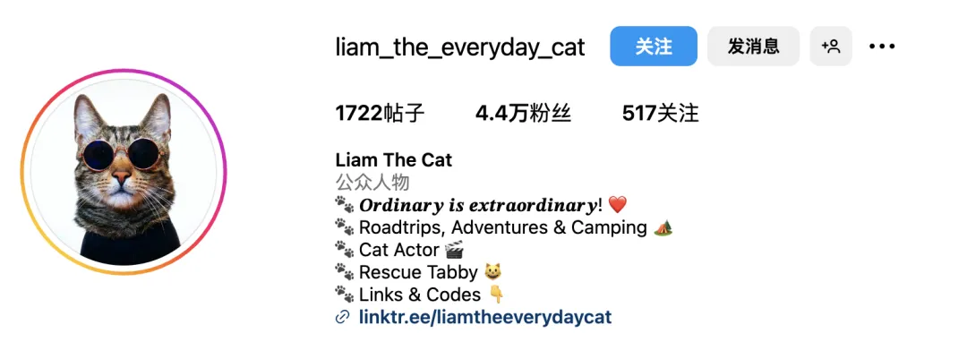 好利来进军宠物市场?“它经济”风潮下,品牌应该选择哪些红人?