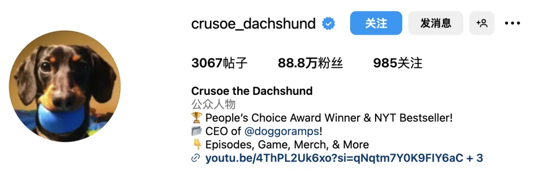 好利来进军宠物市场?“它经济”风潮下,品牌应该选择哪些红人?