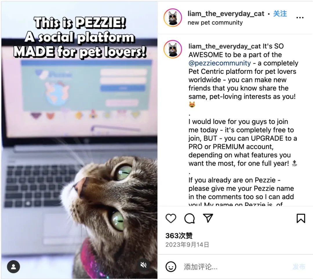 好利来进军宠物市场?“它经济”风潮下,品牌应该选择哪些红人?