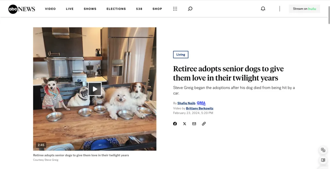 好利来进军宠物市场?“它经济”风潮下,品牌应该选择哪些红人?