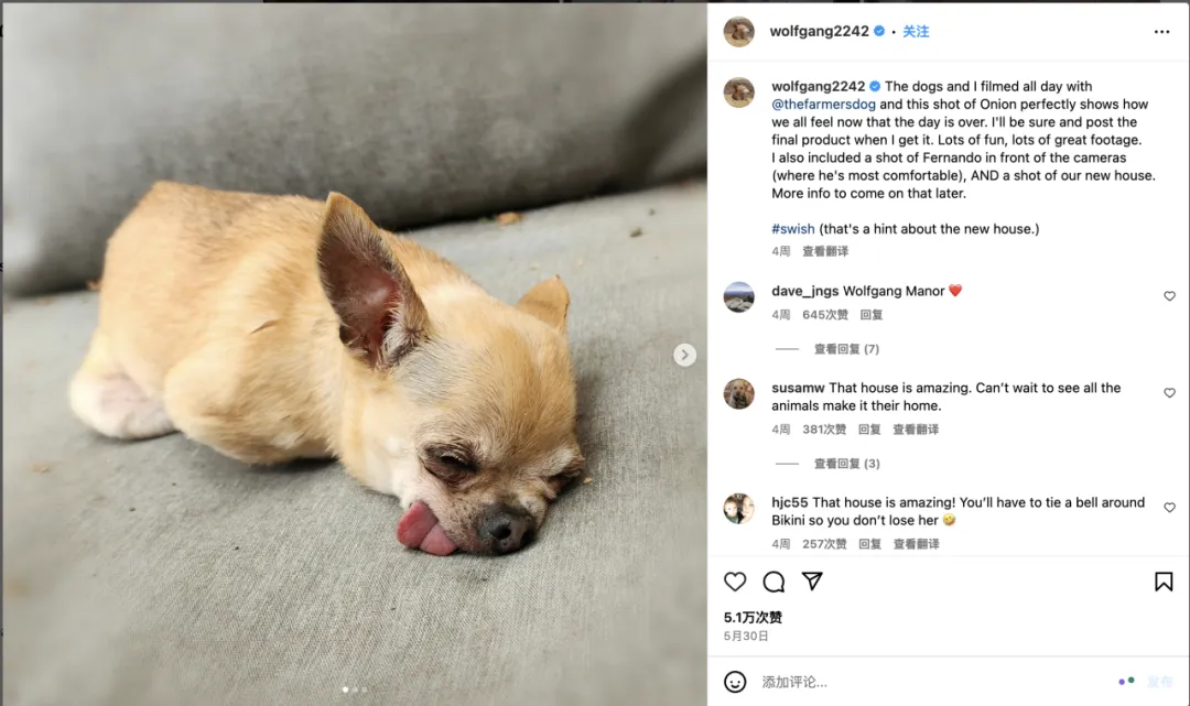 好利来进军宠物市场?“它经济”风潮下,品牌应该选择哪些红人?