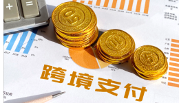 迪卡侬香港 x Adyen | 一体化支付解决方案直击跨渠道交易痛点