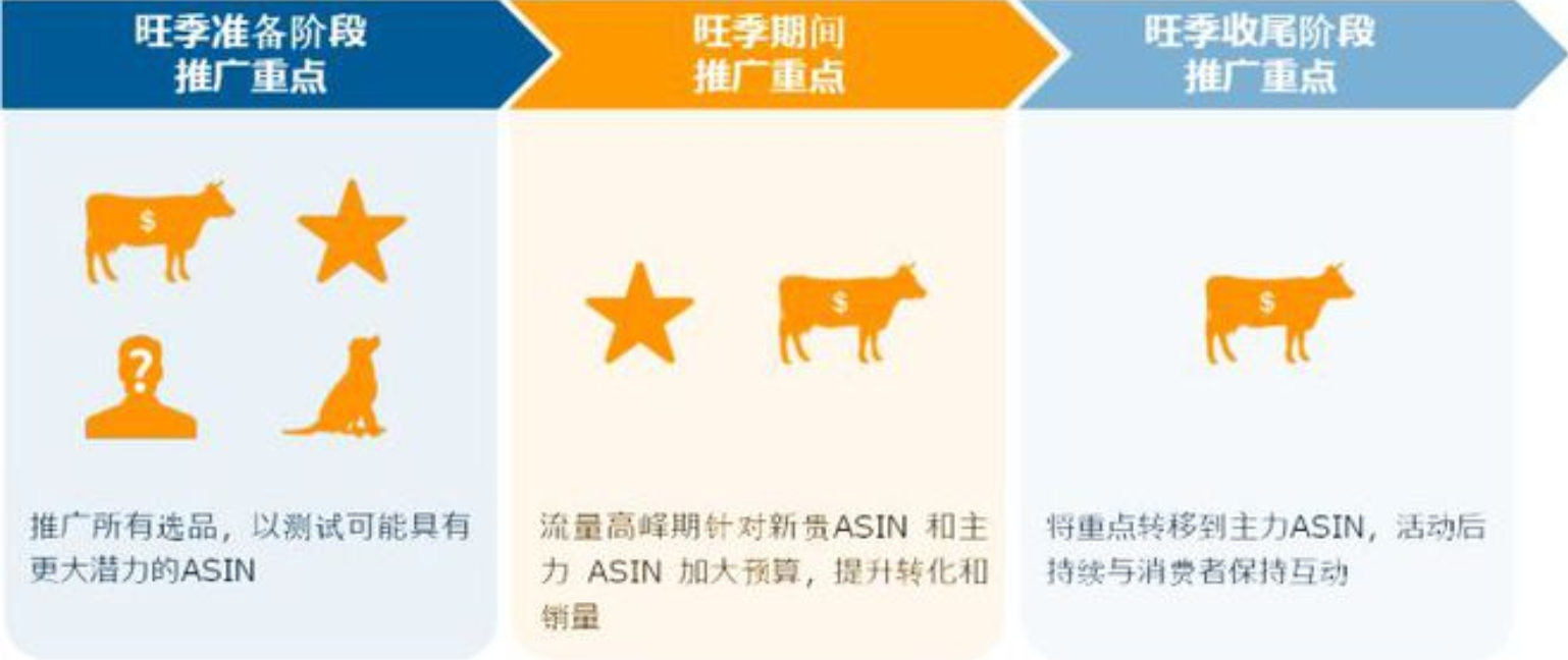 通过ASIN分类矩阵对产品进行分类，明确不同ASIN的广告策略