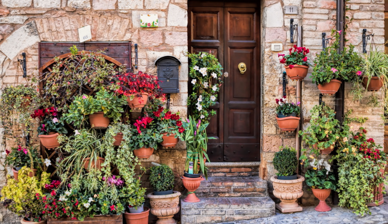 隐匿案件曝光！铁艺花盆架全面维权，户外运动BOARDRIDERS商标，太阳能滴灌机专利