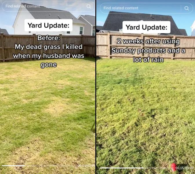 草坪护理品牌业绩爆了!新锐品牌如何花小钱撬动大销量?