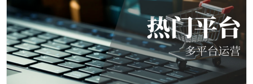 Q2熱門平臺排行榜Top5一覽：多平臺趨勢如何席卷跨境電商？