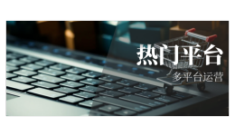 Q2熱門(mén)平臺(tái)排行榜Top5一覽：多平臺(tái)趨勢(shì)如何席卷跨境電商？