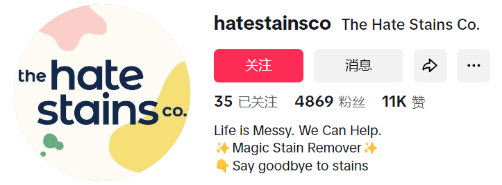 清洁王者The Hate Stains,月销逾52万美金,席卷市场:传统清洁品皆成过往雲烟