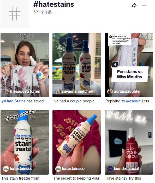 清洁王者The Hate Stains,月销逾52万美金,席卷市场:传统清洁品皆成过往雲烟