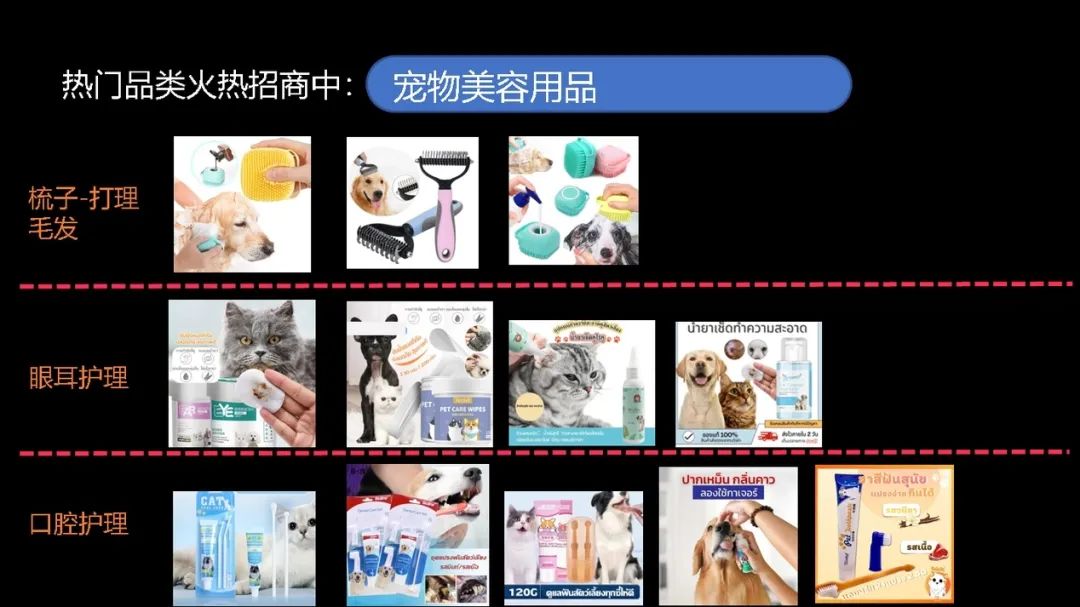 【宠物经济】新蓝海:精妙选品搭配创意短视频,引爆您的销售之路