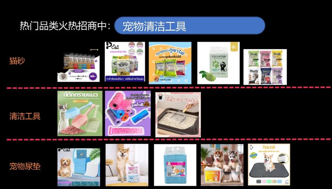 【宠物经济】新蓝海：精妙选品搭配创意短视频，引爆您的销售之路