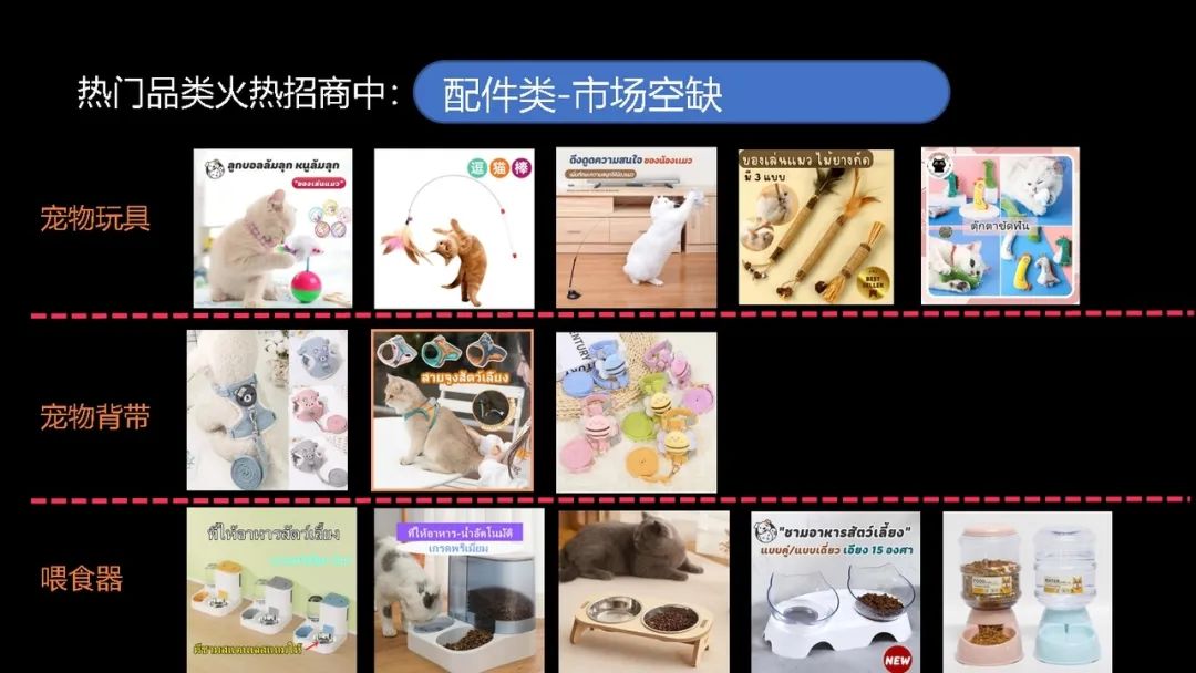 【宠物经济】新蓝海:精妙选品搭配创意短视频,引爆您的销售之路