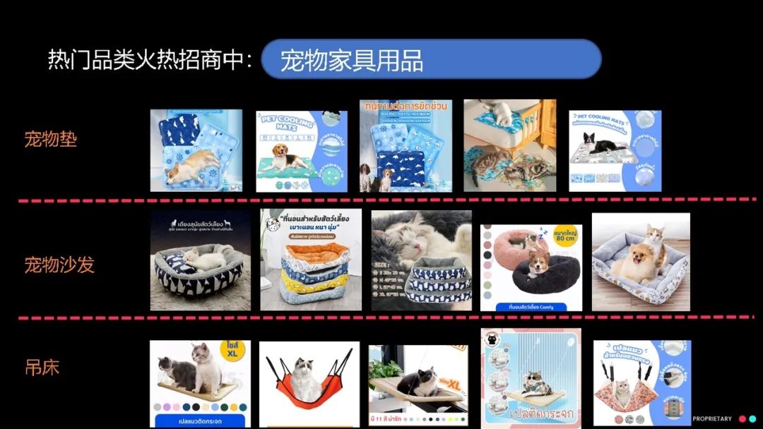 【宠物经济】新蓝海：精妙选品搭配创意短视频，引爆您的销售之路