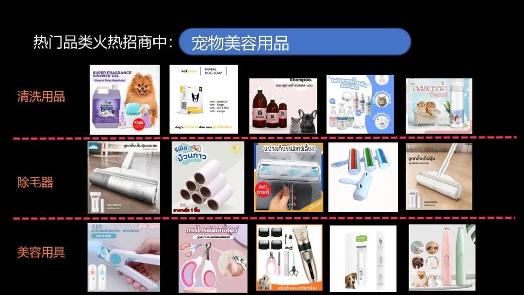 【宠物经济】新蓝海:精妙选品搭配创意短视频,引爆您的销售之路