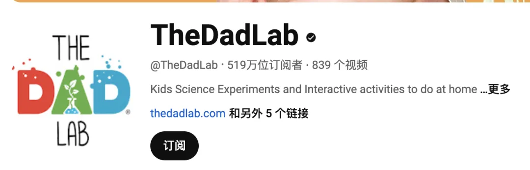 用百万粉丝撬动增长，想要卖爆就必须合作的三位DIY红人