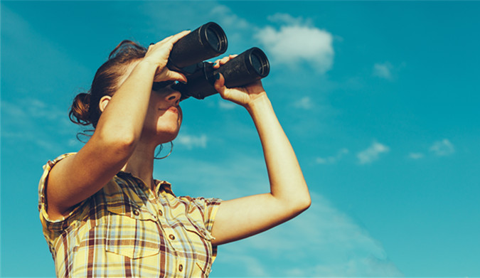 从10亿到3800万！有棵树在“亚马逊”上节节败退…