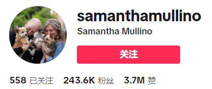 TikTok厨房风云再起：SUSTEAS奶酪刨刀月销售额突破138万美金，揭秘其走红秘诀！