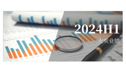 跨境電商2024上半年業(yè)績(jī)捷報(bào)！百億大賣(mài)引領(lǐng)新趨勢(shì)
