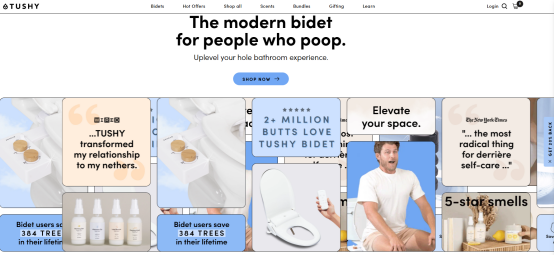 10月最美Shopify网页大赏！