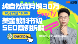 纯自然流月销30万+美金教科书级Shopify SEO案例拆解