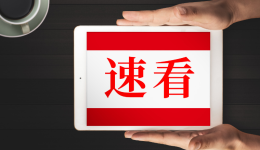 从TikTok爆红到热销，电动仿生逗猫玩具如何创造64万美元奇迹？