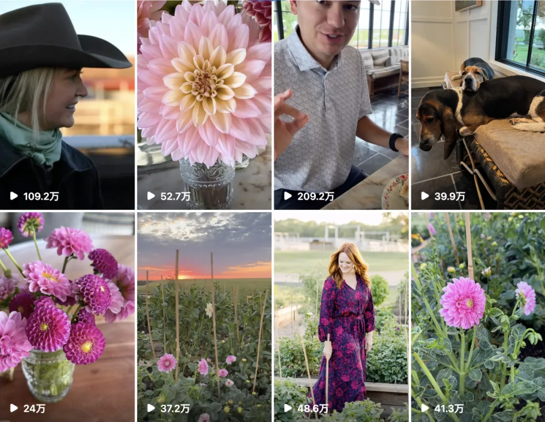 食品饮料出海靠什么？美食达人助力打造爆款产品