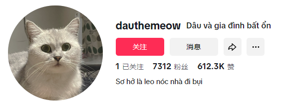 “meow”席卷TikTok：萌宠背后的巨大商机