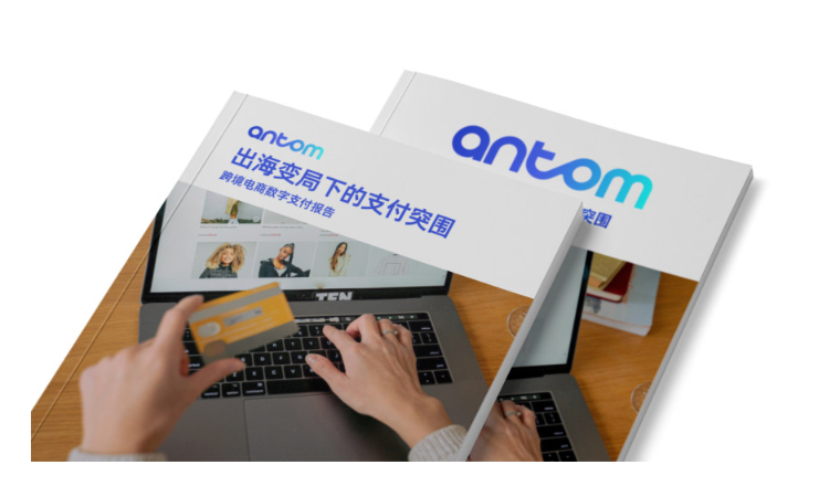 出海变局下的支付突围-跨境电商数字支付报告