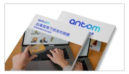 出海变局下的支付突围-跨境电商数字支付报告