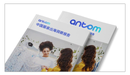 Antom 中國服裝出海洞察報告