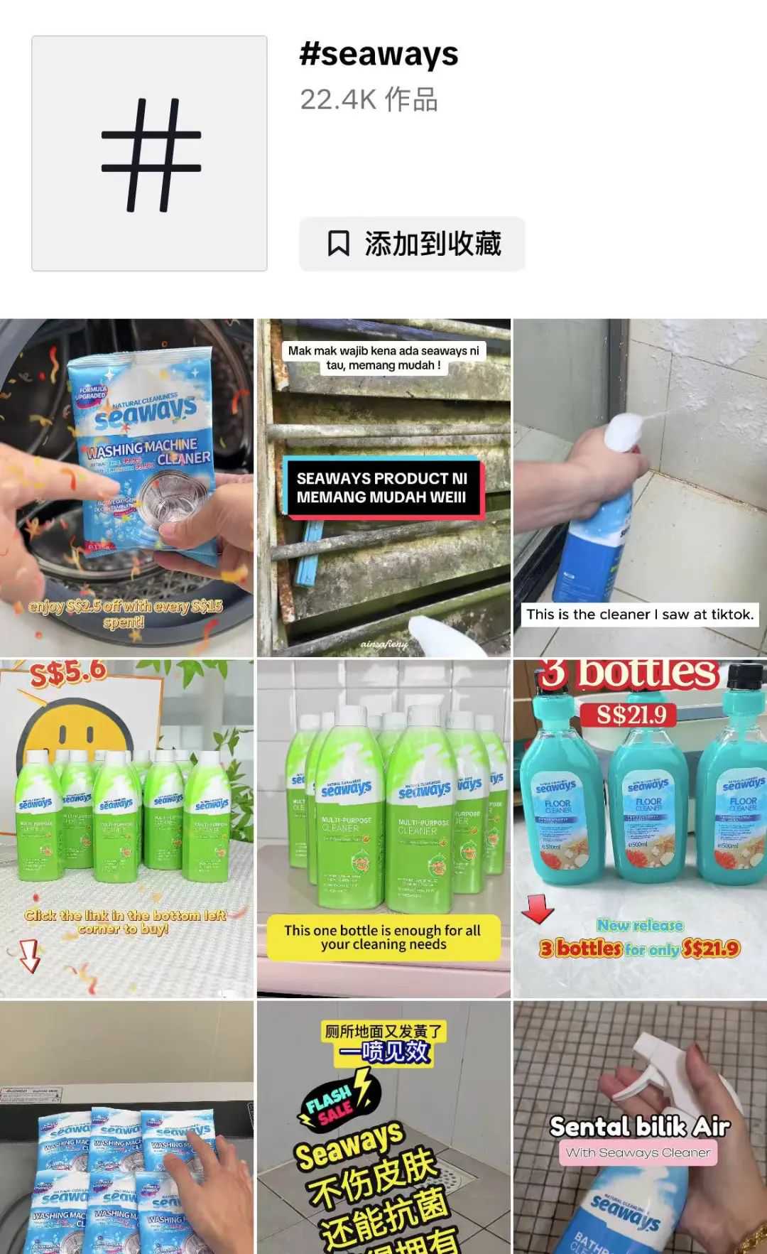 一年内，TikTok推动的国货清洁品牌在东南亚市场实现200万美元销售额