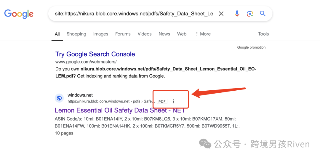 【原创】教科书级Shopify SEO站点！月销30万+美金！纯自然流
