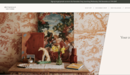 11月最美Shopify网页设计欣赏——线条与色彩的盛宴！