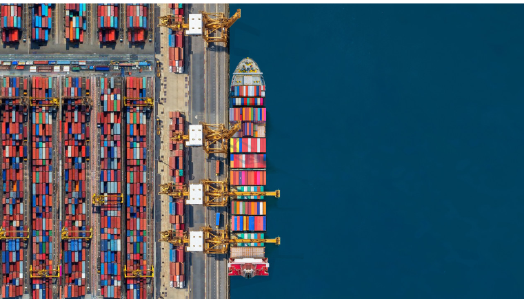 什么是海运鉴定书？