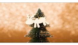 东南亚12月购物季｜抢抓节庆黄金机遇