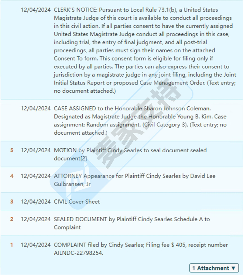 24-cv-12447，David律所代理Cindy Searles版权TRO维权，黑白鸡高危！