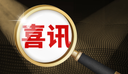 新功能上线:TikTok账户健康报告,保护卖家免受违规困扰