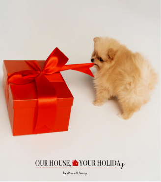 12月最美Shopify网站大赏——首屏带来的极致吸引力！