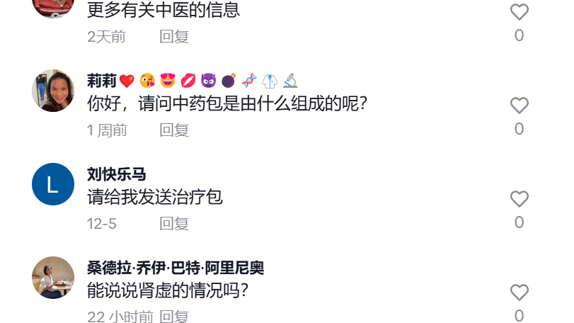 中医文化征服全球，TikTok上C位出道引轰动！