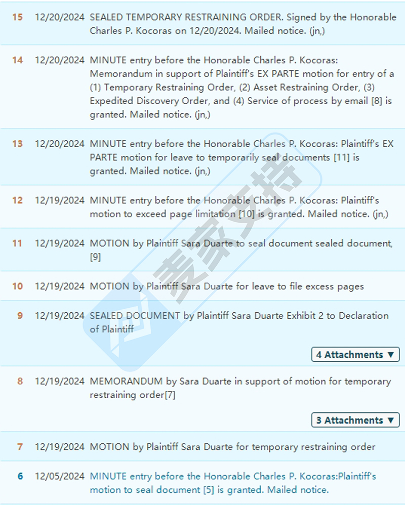 24-cv-12261，David疯魔发起TRO之Sara Duarte版权维权
