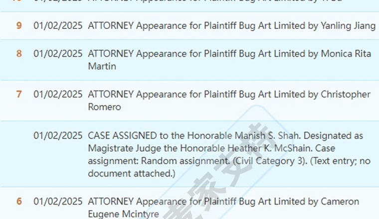 25-cv-00030，keith律所新年首案，Bug Art Limited两张版权再维权