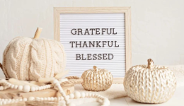 60%市场份额!中国智造掀起品类出海巨潮