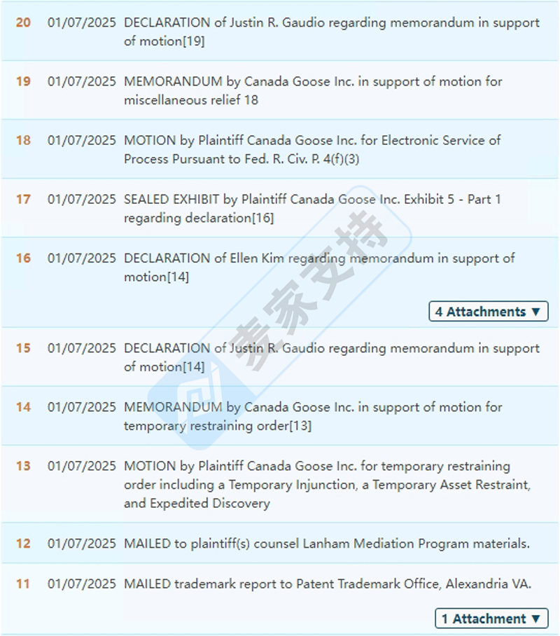 25-cv-00110，加拿大鹅维权回归，涉及文字商标与图形商标