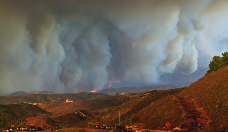 跨境电商火灾选品：月销8万+垃圾袋拯救了无数无家可归的人