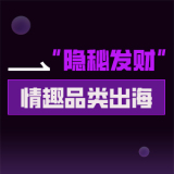 情趣品类出海