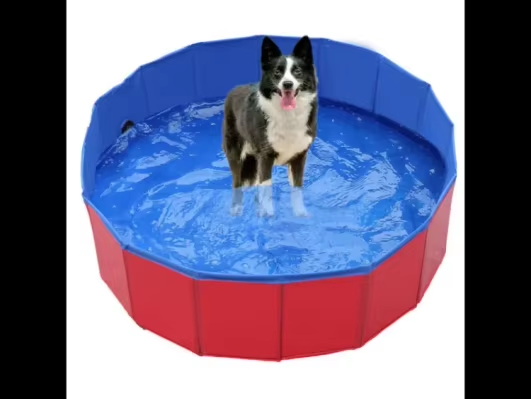 全球速卖通关于禁止向澳大利亚销售便携式游泳池的公告