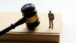 25-cv-01007，春节假期TRO新案速递！Night Crows 夜鸦版权维权